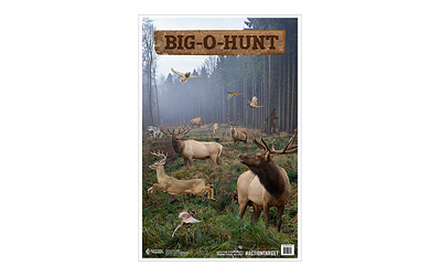 Action Target Big-O-Hunt Target, Multi Color, 23"x35", 100 Per Box GS-BIGHUNT-100