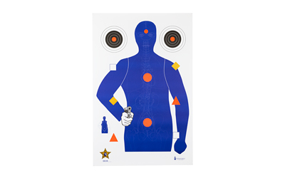 Action Target SSO-99, Sheriff's Office Sarasota Co. (FL) Modifies B21E Target With Vital Anatomy, Blue/Red/Gold/Black, 23"x35", 100 Per Box SSO-99-100