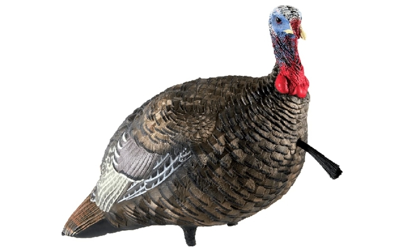 Avian-x lcd quarter-strut jake turkey decoy