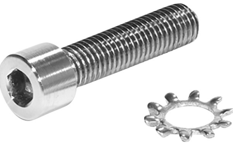 Badger Ordnance Titanium pistol grip screw