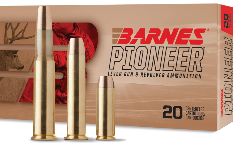 BARNES PIONEER 45 COLT 250GR 20/200