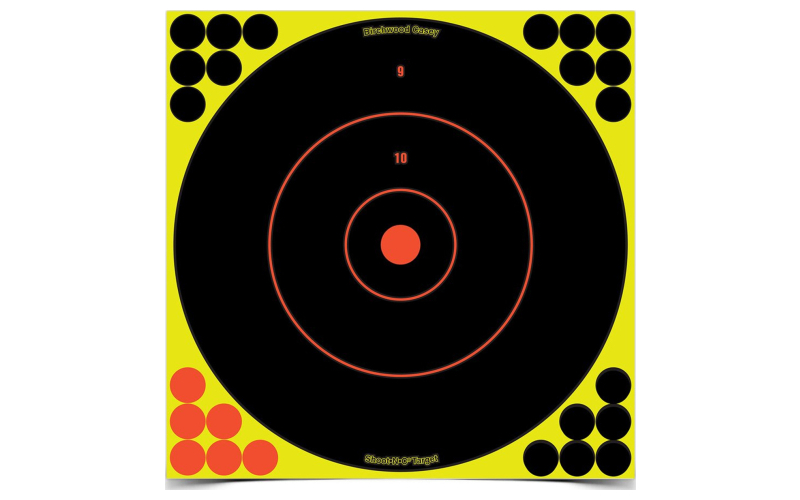 Birchwood Casey Shoot-N-C Target, Round Bullseye, 12", 12 Targets BC-34022
