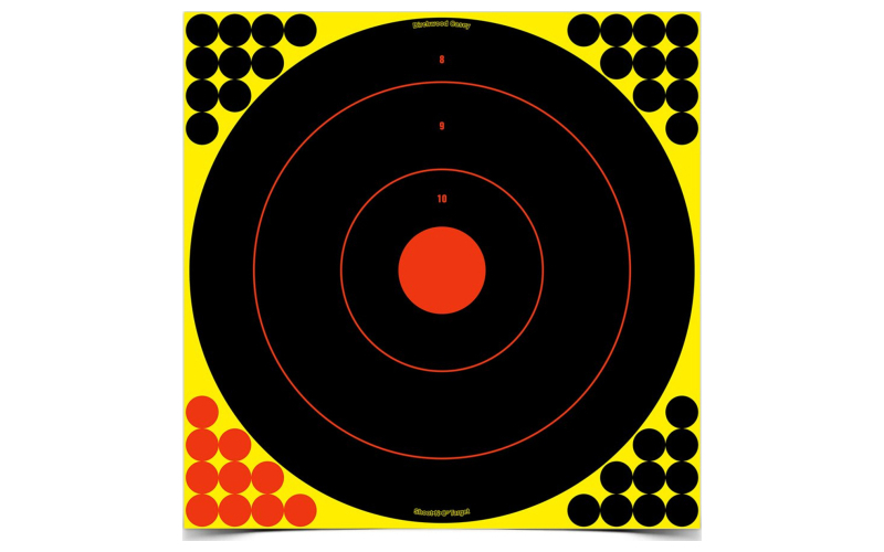 Birchwood Casey Shoot-N-C, Bullseye Target, 17.25", 5 Targets BC-34185