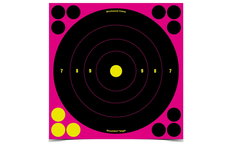Birchwood Casey Shoot-N-C Target, Bullseye, 8", 6 Targets, Pink BC-34808