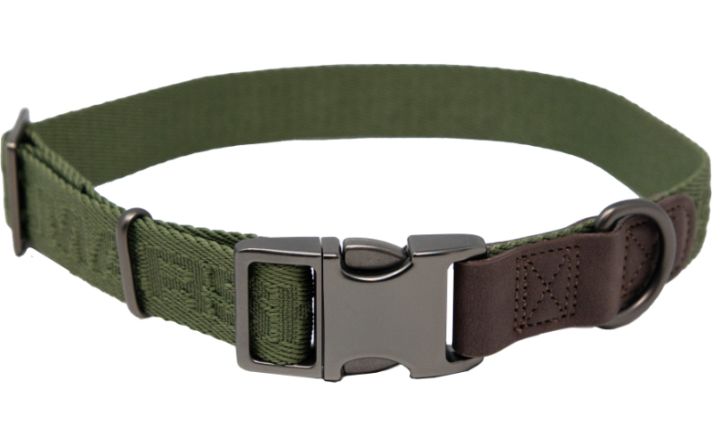 Higdon adjustable dog collar (15in-23in) - cypress green