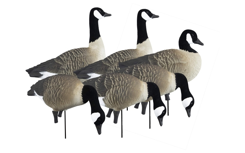 Higdon outdoors apex full-size full-body variety pack - canada goose