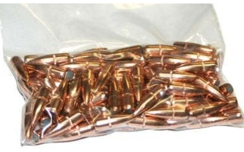 .22 cal 55gr sp 100 rd bag