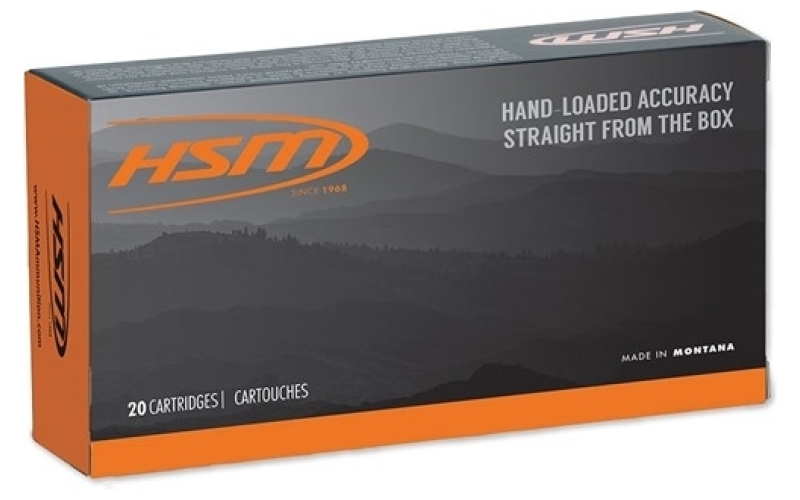 Hsm Ammunition 350 legend 170gr spire point 20/box