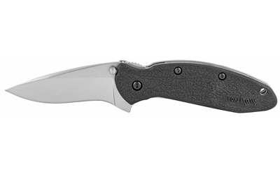 Kershaw Scallion, 2.4" Assisted Folding Knife, Clip Point, Plain Edge, 420HC/Satin, Black Nylon, Thumb Stud/Pocket Clip 1620