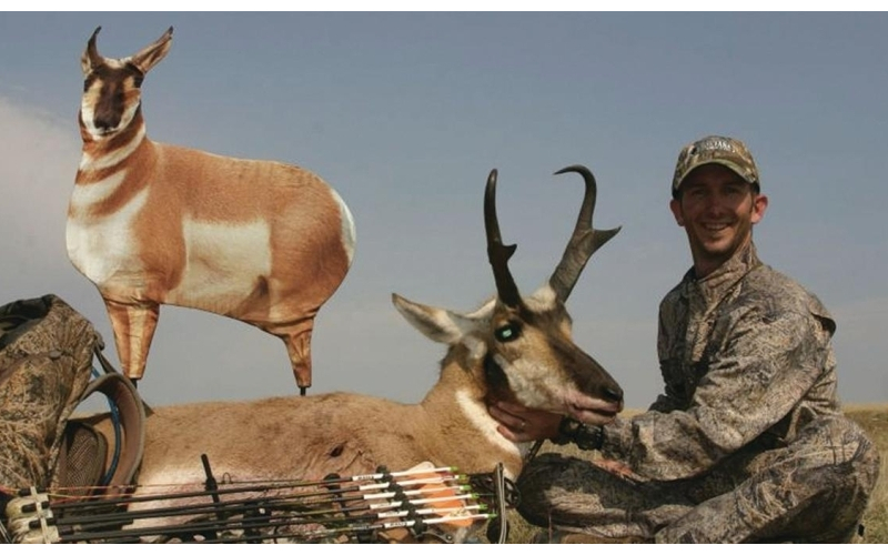 Montana decoy antelope buck