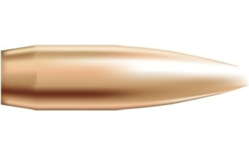 NOSLER 22 caliber (0.224'') 69gr hollow point boat tail 250/box