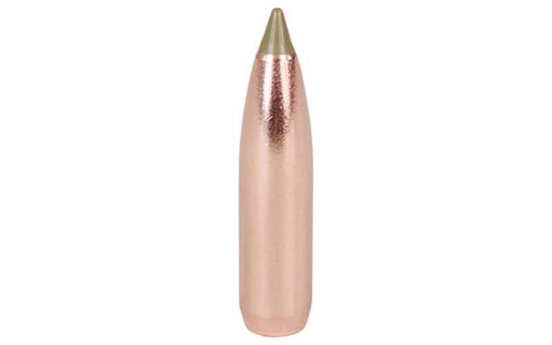 NOSLER 9.3mm (0.366'') 250gr e-tip lead free spitzer 50/box