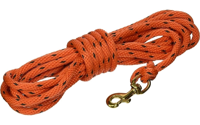 20 ft check cord/org/bk