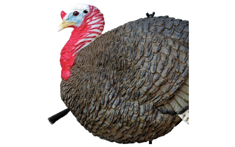 Primos gobstopper decoy jake & hen turkey combo
