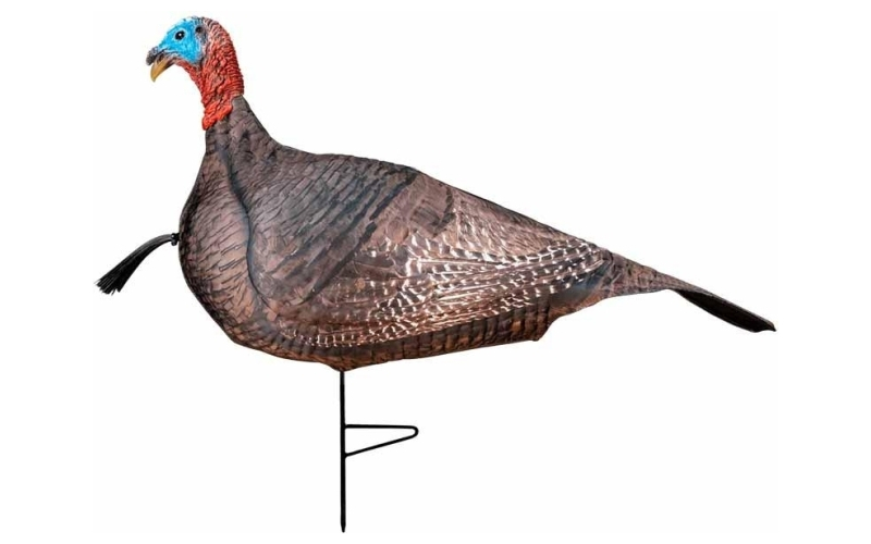 Primos photoform jake turkey decoy