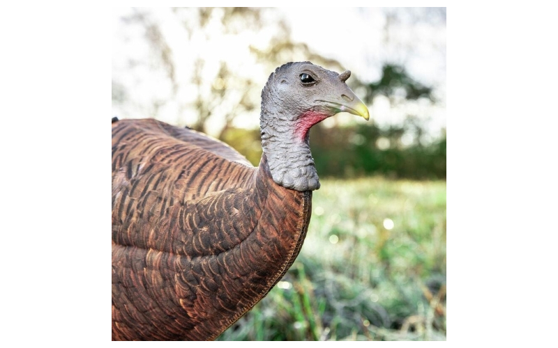 Primos photoform leading hen turkey decoy