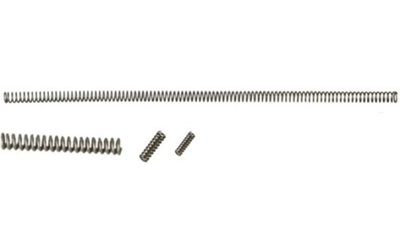 Power Custom 10/22~ spring kit
