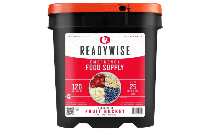 Wise company freeze dried fruit bucket 120 servings