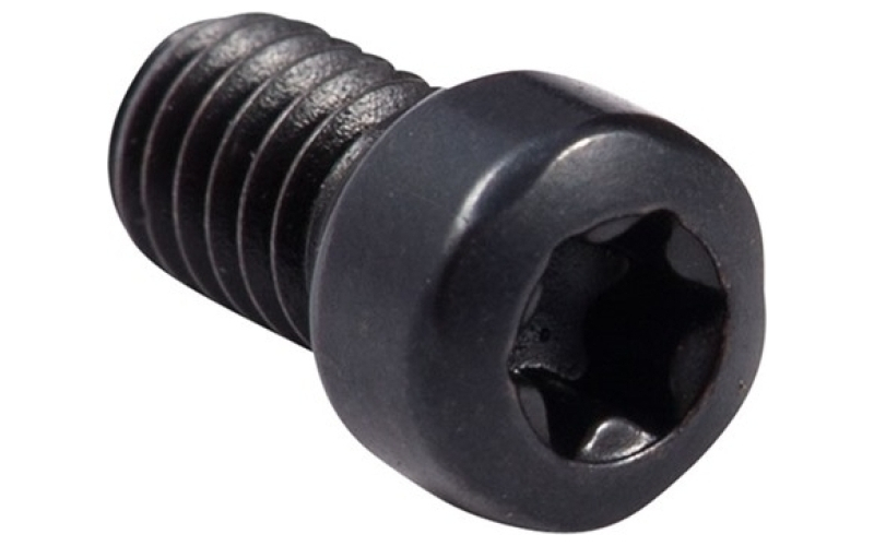 Ruger Scope ring screw, blue