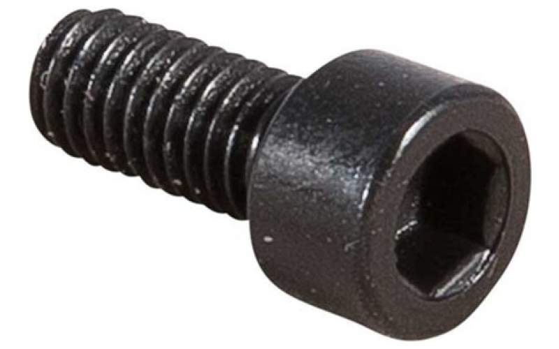 Ruger Mini-14~ gas block screw blued