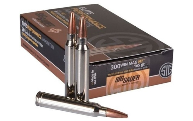 300 winchester magnum 165gr ht 20/box