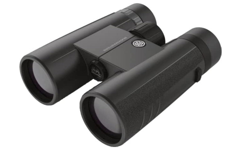 Sig sauer buckmasters binocular 10x42mm black