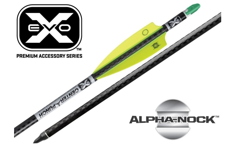 Ten point evo-x center punch carbon arrows 20 inch w/molded alpha nocks