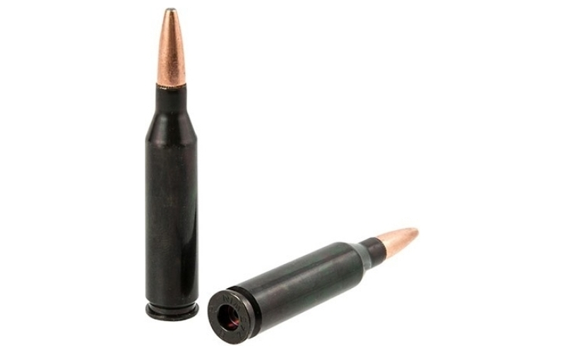 Traditions Traditions rifle training cartridge 243 winchester (2 ct)