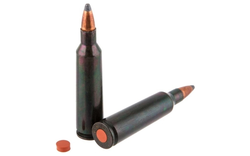 Traditions Traditions rifle training cartridge 22-250 rem (2 ct)