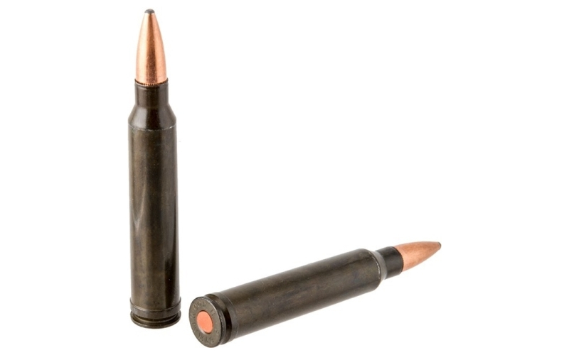 Traditions Rifle training cartridge 300 winchester mag (2 ct)