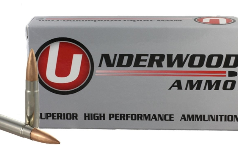 300 aac blackout 220 gr match hollow point boat tail subsonic ammo 20 rnd