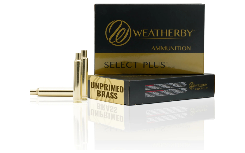 Wby brass 300 prc 50 count