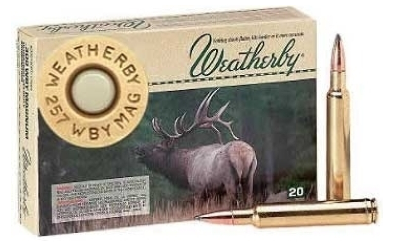 Weatherby Weatherby ammo #18604 wby mag 250gr nosler pt