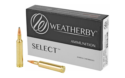 Weatherby Select, 257 Weatherby Magnum, 100Gr, InterLock, 20 Round Box H257100IL