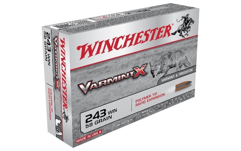 Winchester Ammunition 243 winchester 58gr polymer tip 20/box